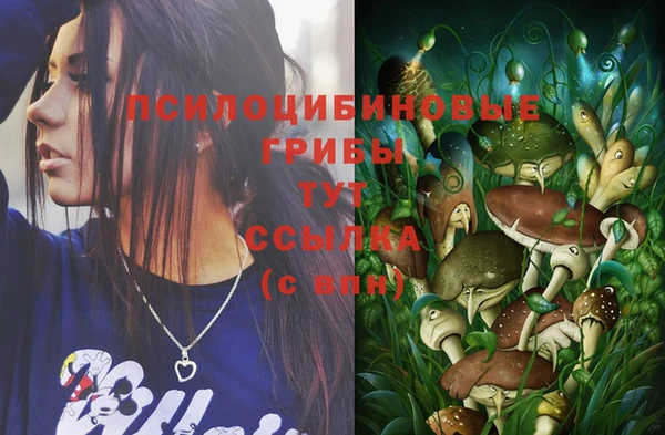 кокаин премиум Каменногорск