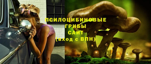 spice Карталы