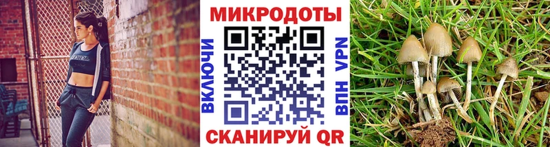 Купить где  Жигулёвск  Галлюциногенные грибы мухоморы 