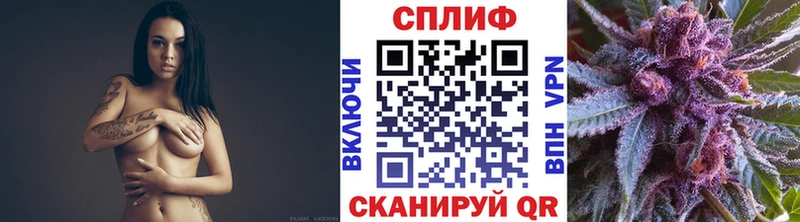 Купить закладки  Жигулёвск  Канабис гибрид 
